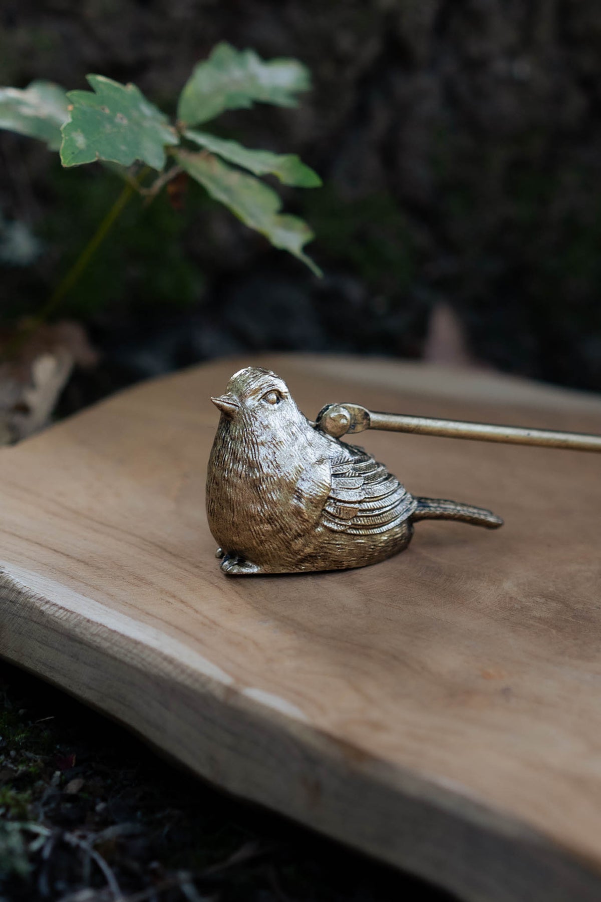 Apagavelas Pájaro