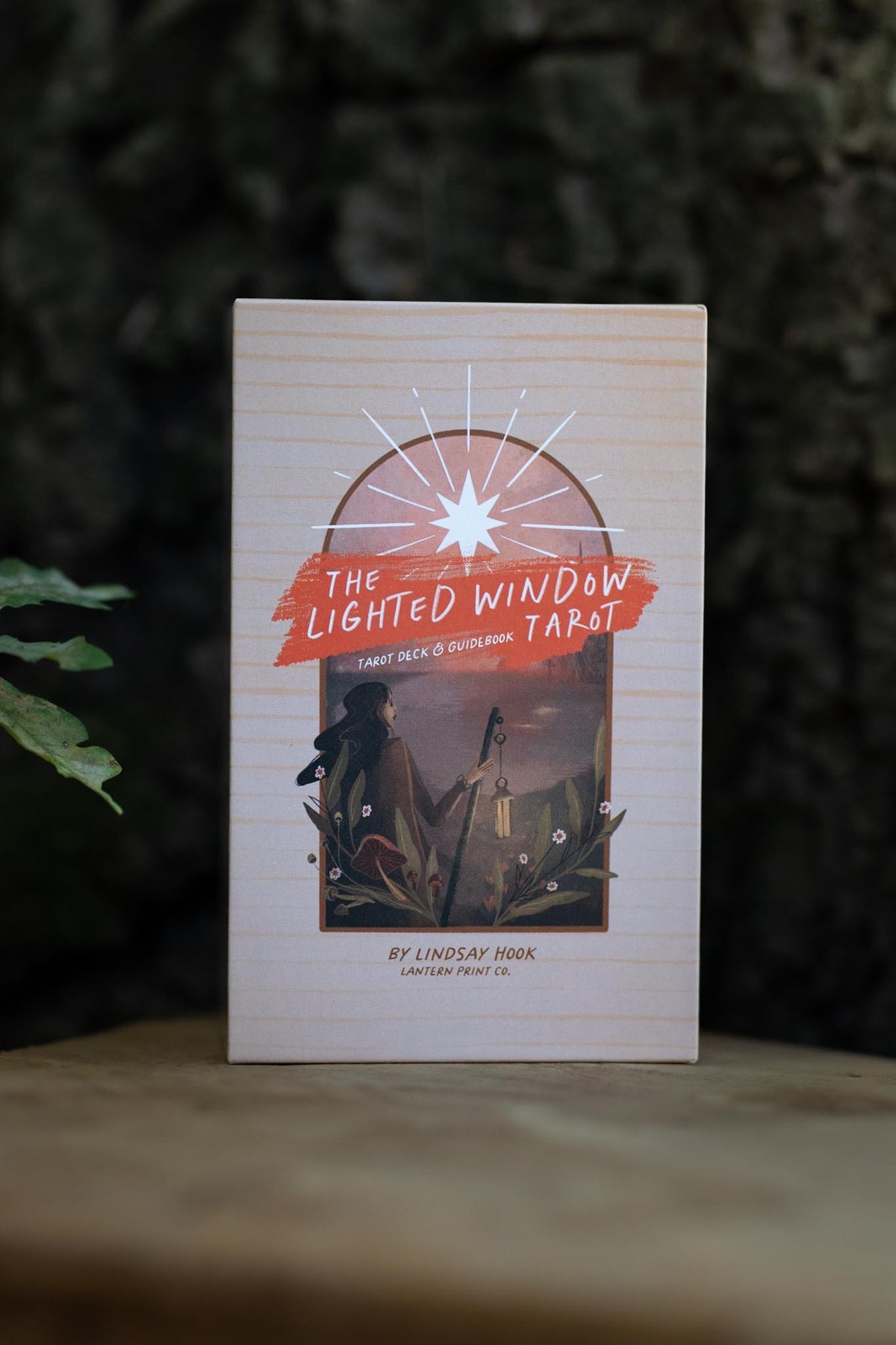 The Lighted Window Tarot