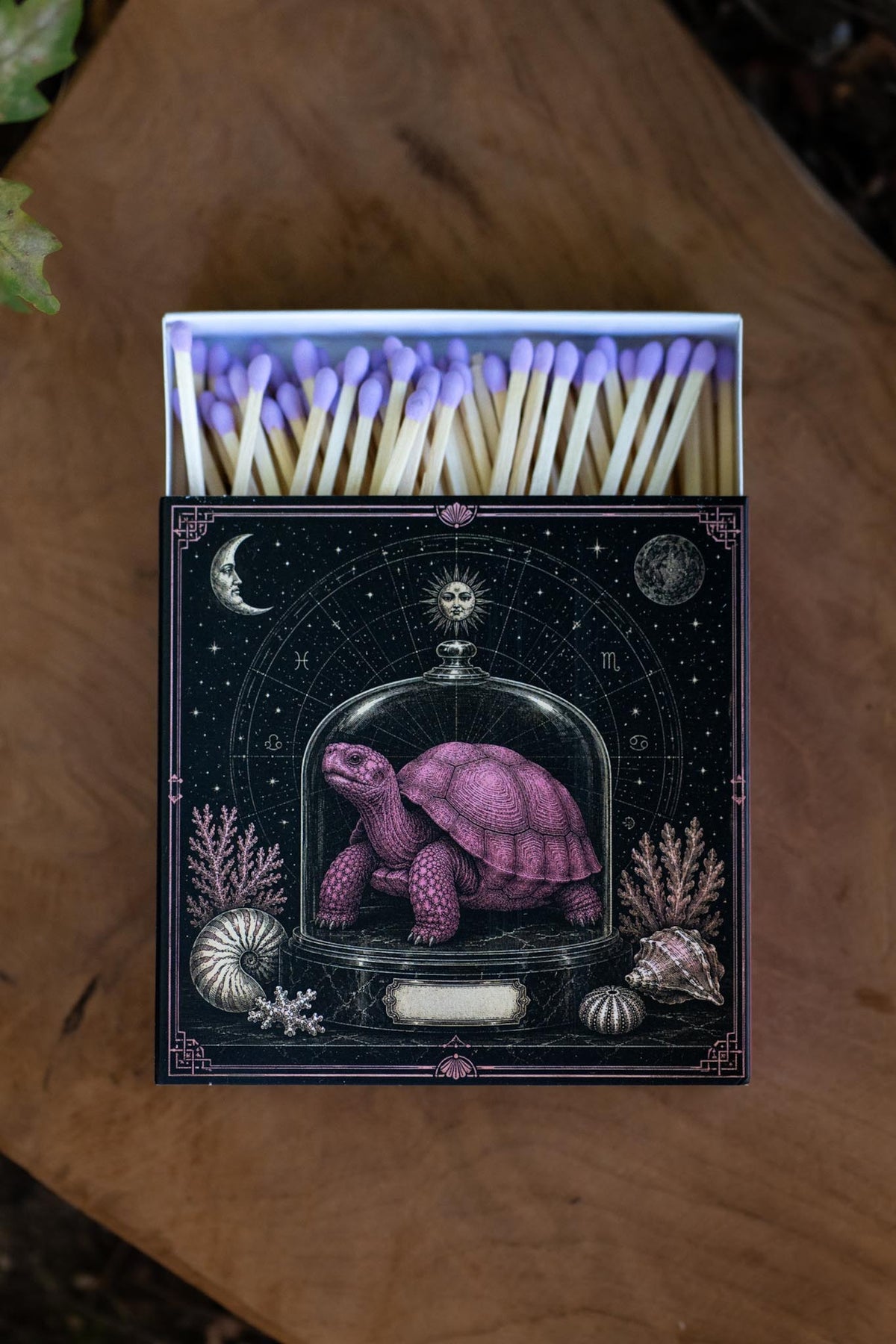 Cerillas Tortuga Celestial