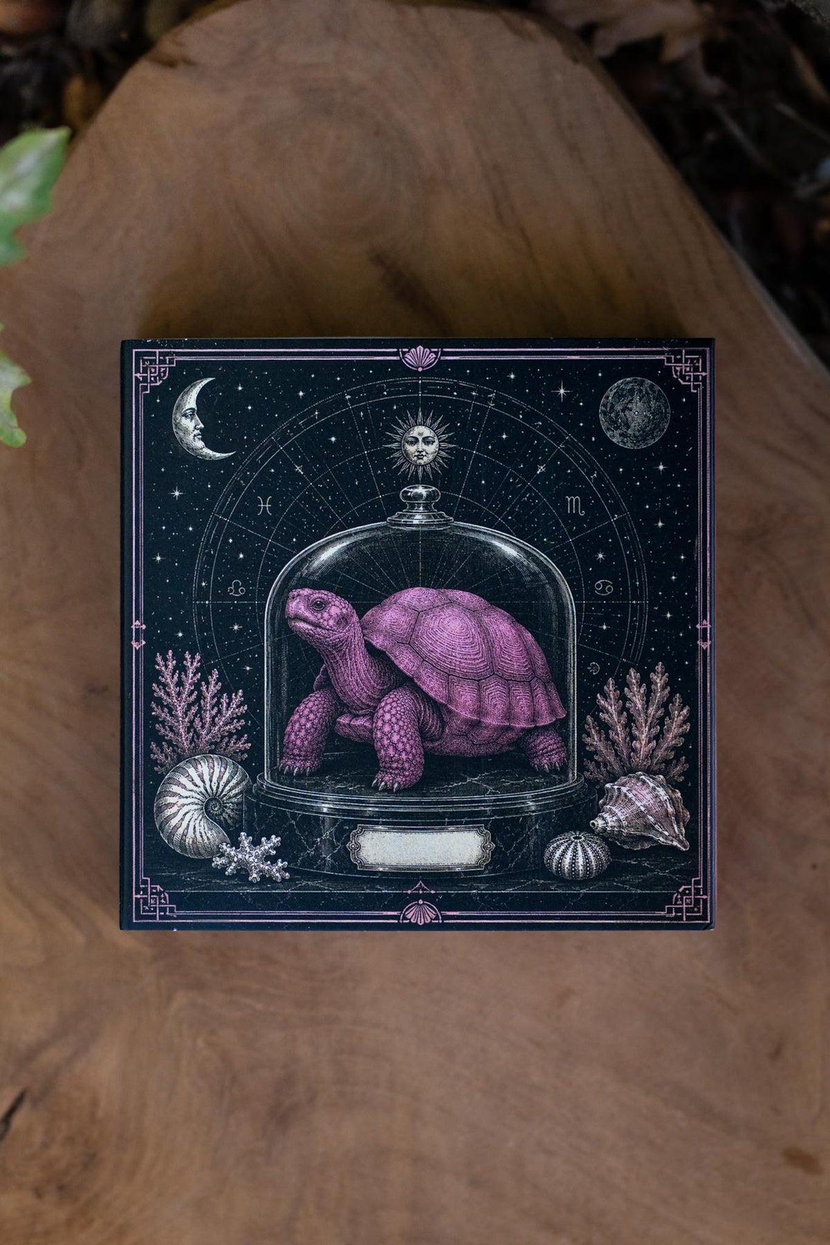 Cerillas Tortuga Celestial